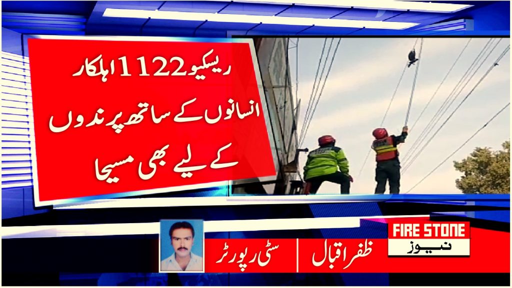 ریسکیو 1122اہلکارانسانوں کے ساتھ پرندوں کے لیے بھی مسیحا